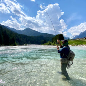 gallery_21