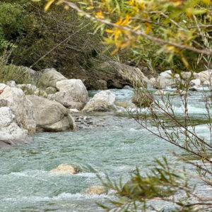 gallery_36