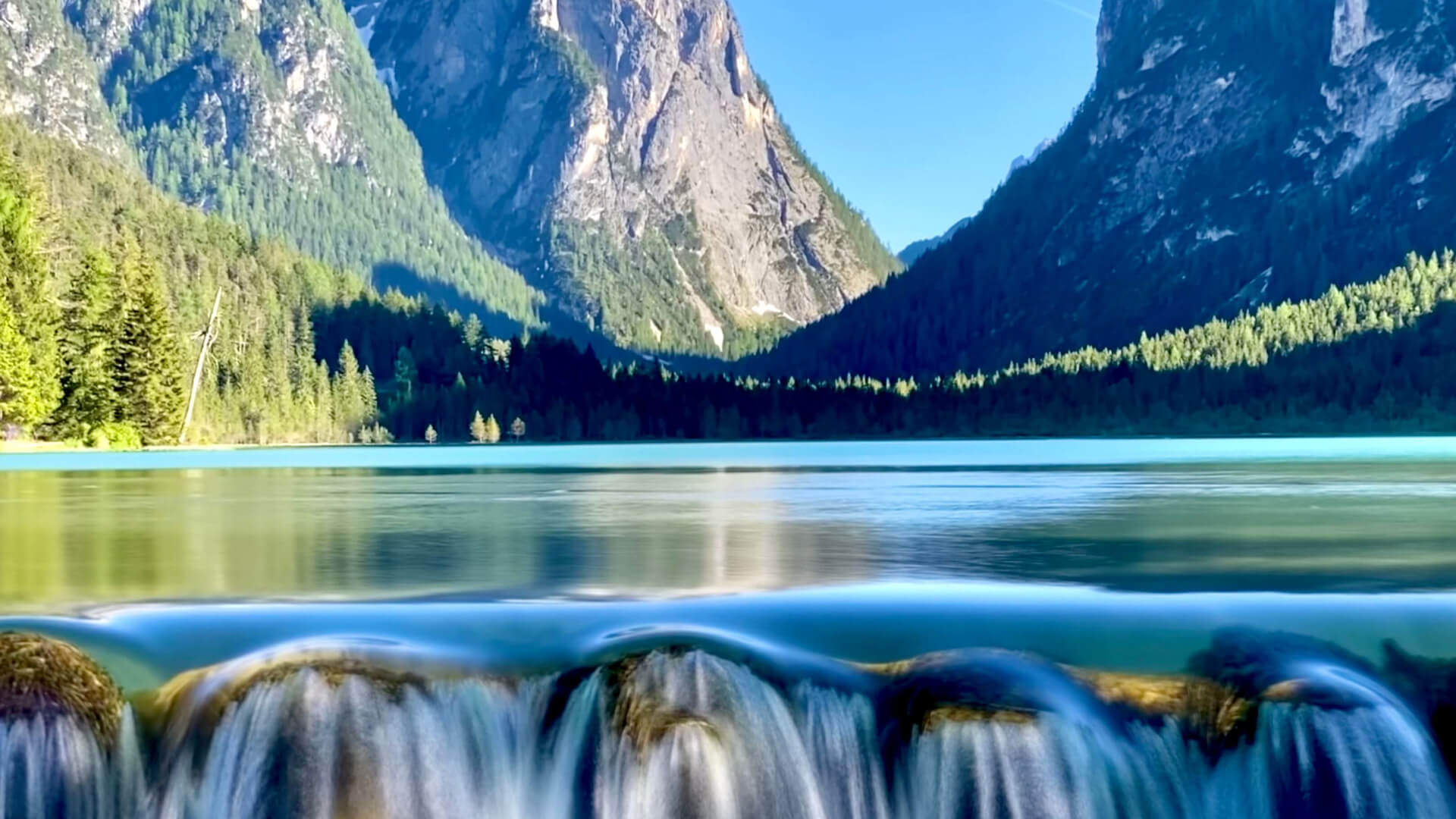 fish_waters_fly