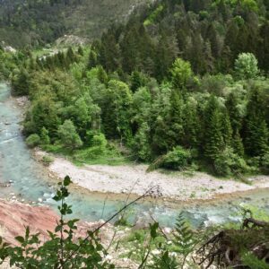 gallery_75