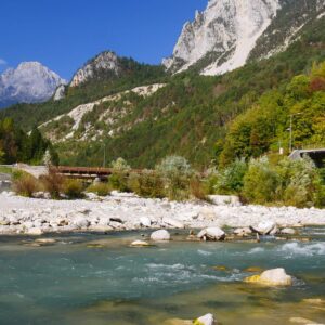 gallery_78
