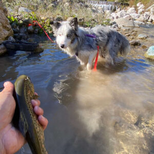 tenkara_8