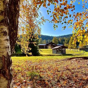 the_lodge_26